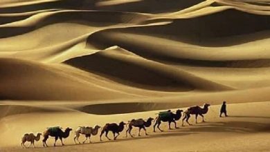 كم دامت دعوة الرسول الجهرية المثيرة للعجب والتحدي في مواجهة قوى الجهل والظلام 7 موضوع تعبير عن الهجرة النبوية الشريفة بالعناصر 1